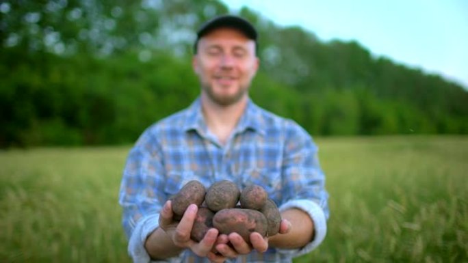 农民手握土豆生物制品的肖像。概念-农贸市场，有机农业，农场收获作物，生物产品，种植蔬菜，马铃薯，天然