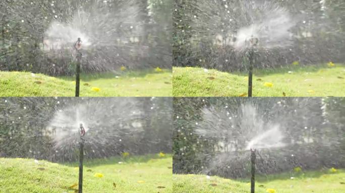 公园里洒水器喷水。农业园艺和农业的概念