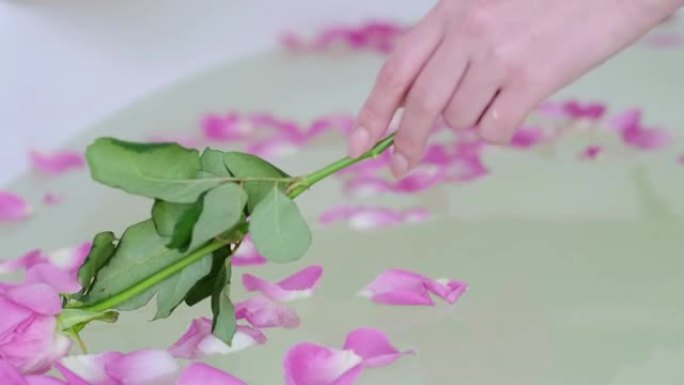 玫瑰花瓣浴。豪华白色大理石浴室流水带粉色玫瑰花瓣的浴缸。在酒店度过浪漫的周末。高质量全高清镜头