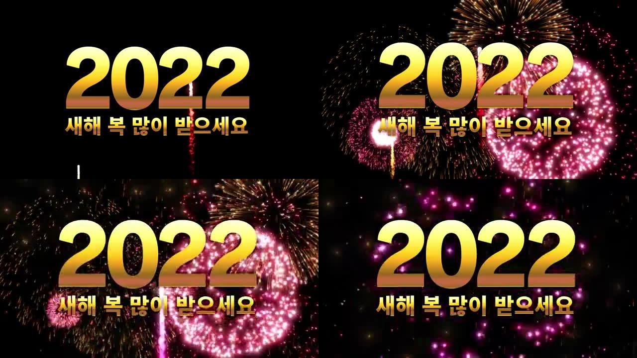 烟花接踵而至。庆祝新年的视频。韩语新年祝福。