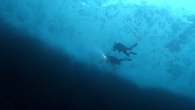 浅水中的两名潜水员