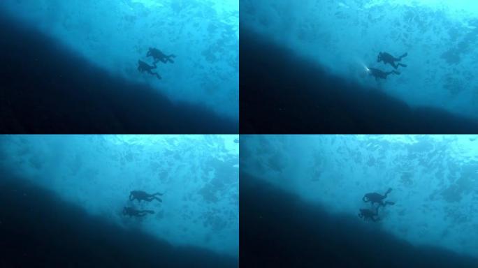 浅水中的两名潜水员