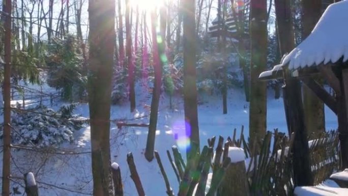 山地森林覆盖自然景观的木质老式乡间别墅。主动休息。下雪的冬季假期。