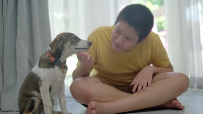 快乐的亚洲青春期男孩在家里窗户附近的地板上与棕色幼犬玩耍，生活方式概念。