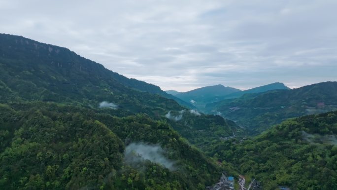 大自然森林云雾大山