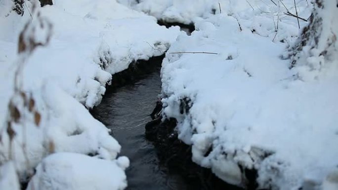 森林蜿蜒的溪流在白雪中流动