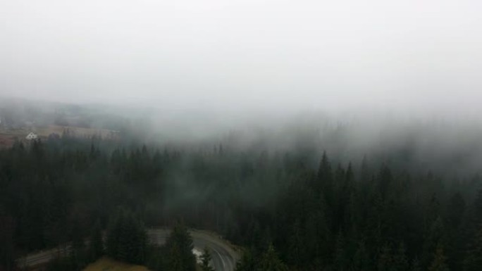 喀尔巴阡山脉森林附近道路的风景鸟瞰图