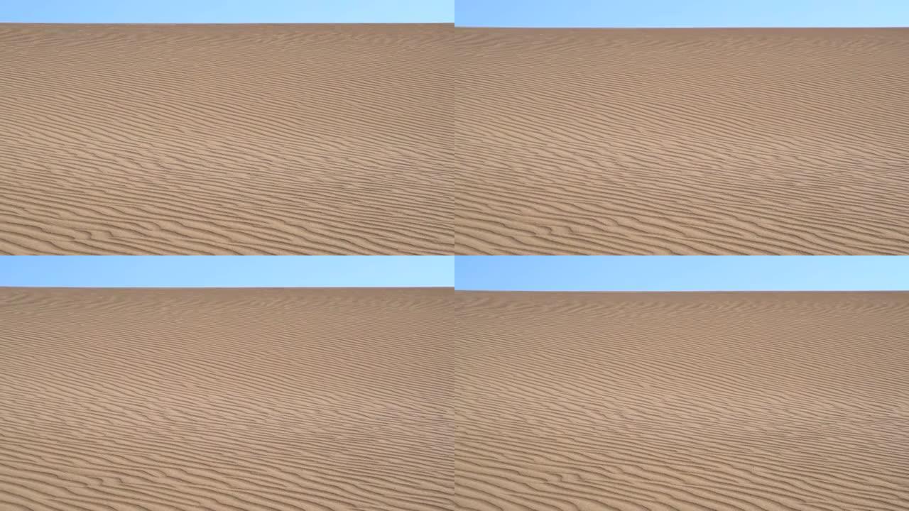 沙漠沙丘表面的平行沙纹线