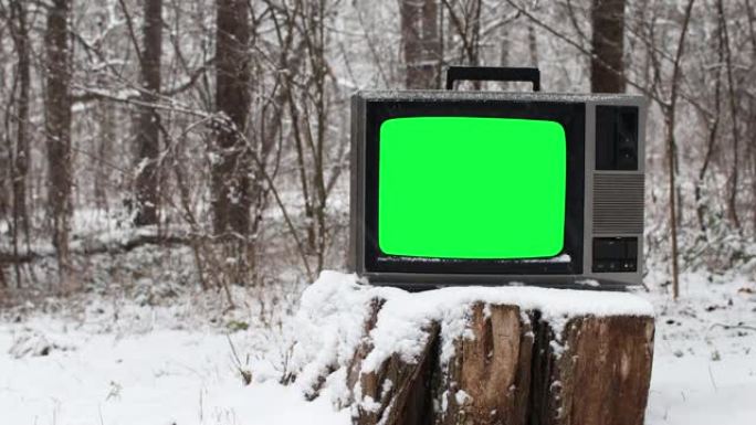 旧树桩上有绿色屏幕的老式电视白色在冬季下雪