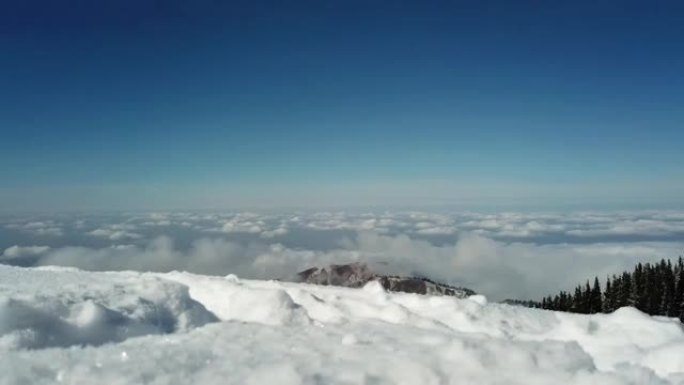 山里的雪林，云层之上