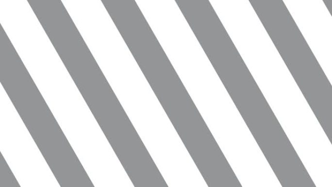 白色背景上的灰色线条。时尚调色板运动图形