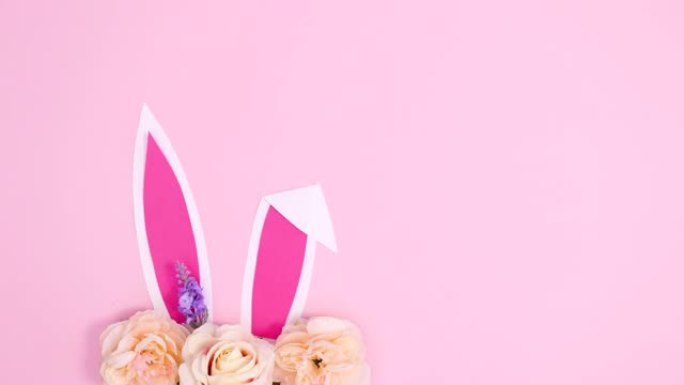 兔子耳朵在柔和的粉红色背景上出现开花的春季布置。复活节平躺停止运动