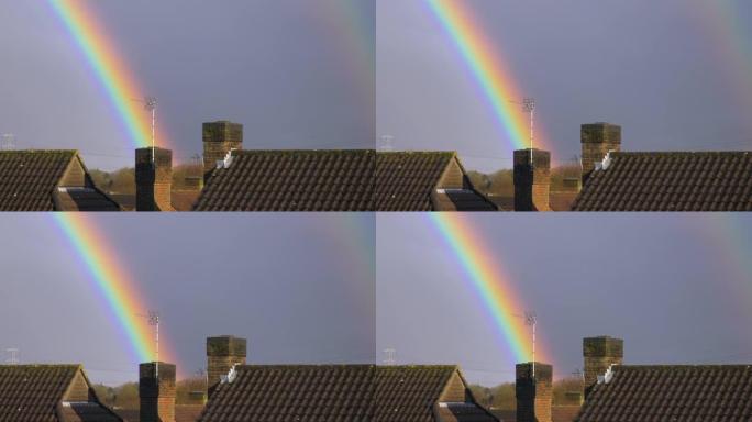 英国联排别墅屋顶和烟囱上的彩虹色彩虹，阴天