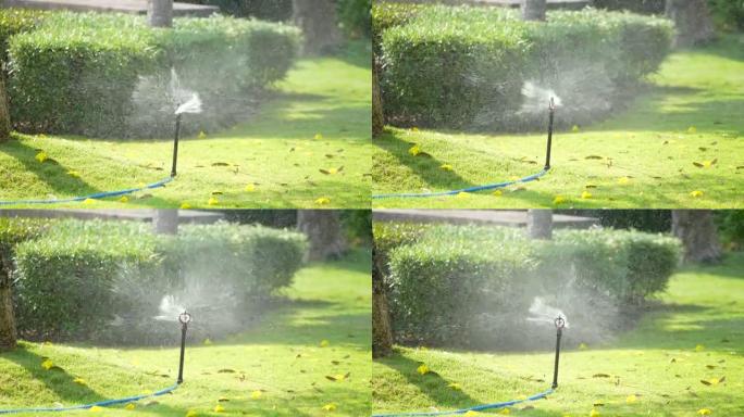 公园里洒水器喷水。农业园艺和农业的概念