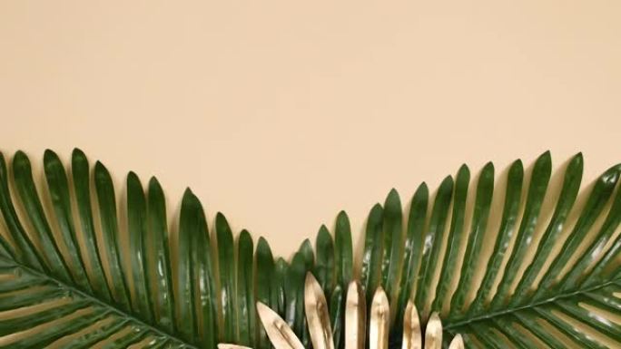 创意热带金色和绿色棕榈叶以两种方式出现在裸体背景上。停止运动
