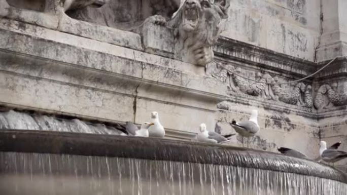 罗马Altare della patria附近的Fontana dell'Adriatico。水流在