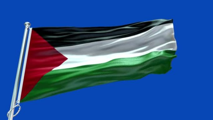 4k高度详细的巴勒斯坦国旗-巴勒斯坦国旗高细节-国旗巴勒斯坦波浪图案可循环元素