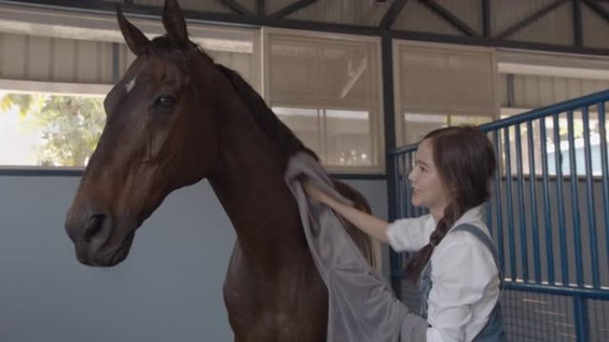 可爱的年轻亚洲女子在马厩里照顾一匹棕色的马