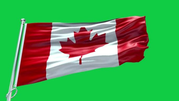 4k高度详细的加拿大国旗-加拿大国旗高细节-国旗加拿大波浪图案可循环元素