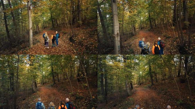 一群成熟的徒步穿越森林。