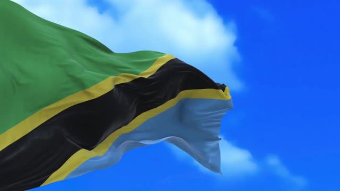 无缝环坦桑尼亚国旗。