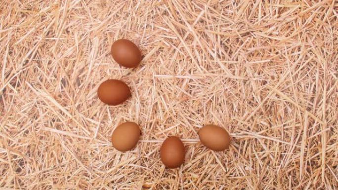 新鲜鸡蛋以稻草为主题出现在圆圈中。停止运动
