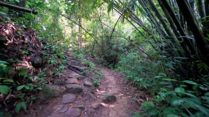 云台在竹丛丛林中的徒步路径上移动