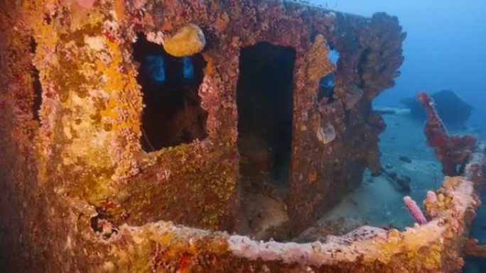 库拉索岛加勒比海珊瑚礁绿松石水中的沉船 “高级生产者”