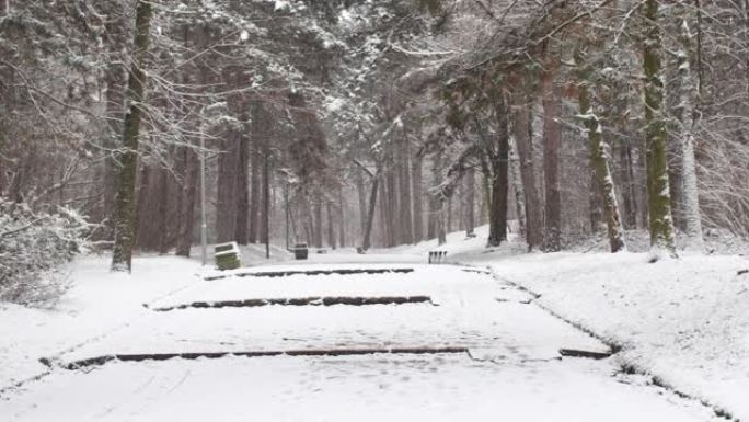 在被雪覆盖的森林中行走步道的冬季场景