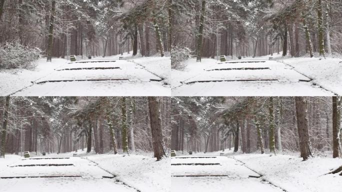 在被雪覆盖的森林中行走步道的冬季场景