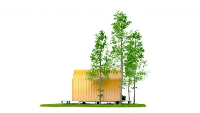 无缝循环动画在绿色草坪岛上的现代紧凑小房子周围飞来飞去，周围是高大的松树。3d插图