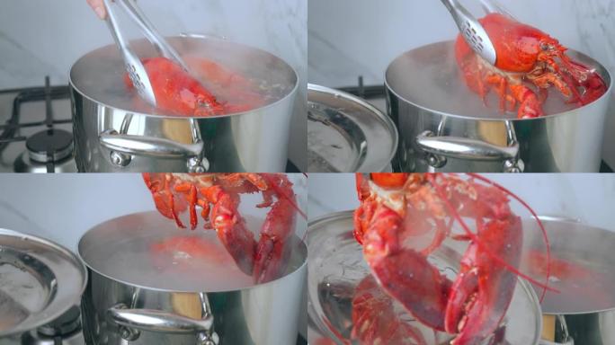 用滚水从平底锅中取出煮熟的红龙虾。