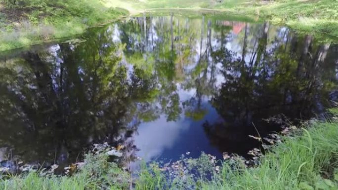 在公园里的树木池塘的水中倒影