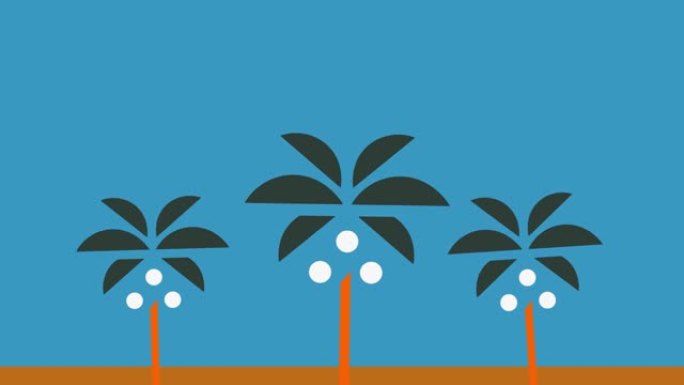 棕榈树。热带旅游。Pov驾驶棕榈，树木在晴朗的蓝天下经过。没有人。4k运动视频。