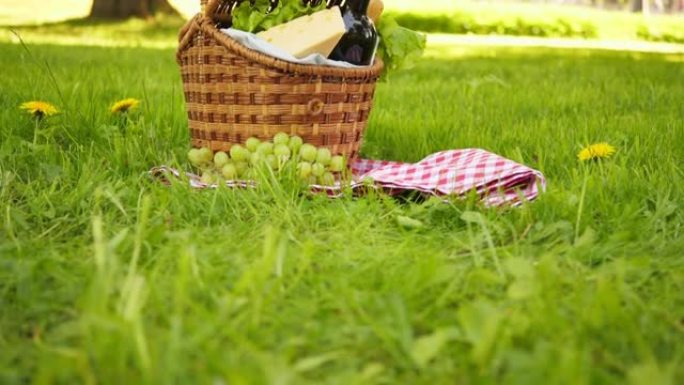 夏季公园外面绿草丛上的红方格桌布上的柳条野餐篮配奶酪和葡萄酒