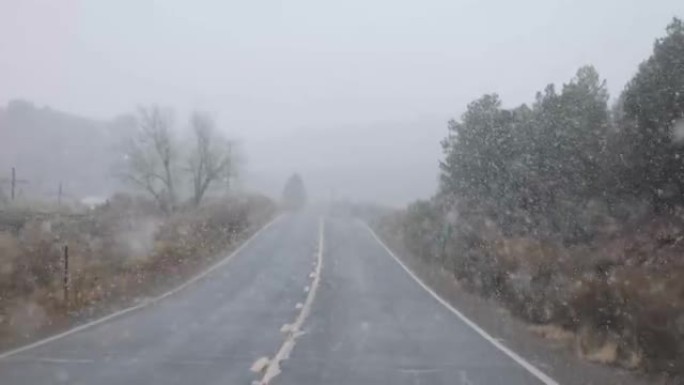 在科罗拉多州暴风雪中穿越大雪