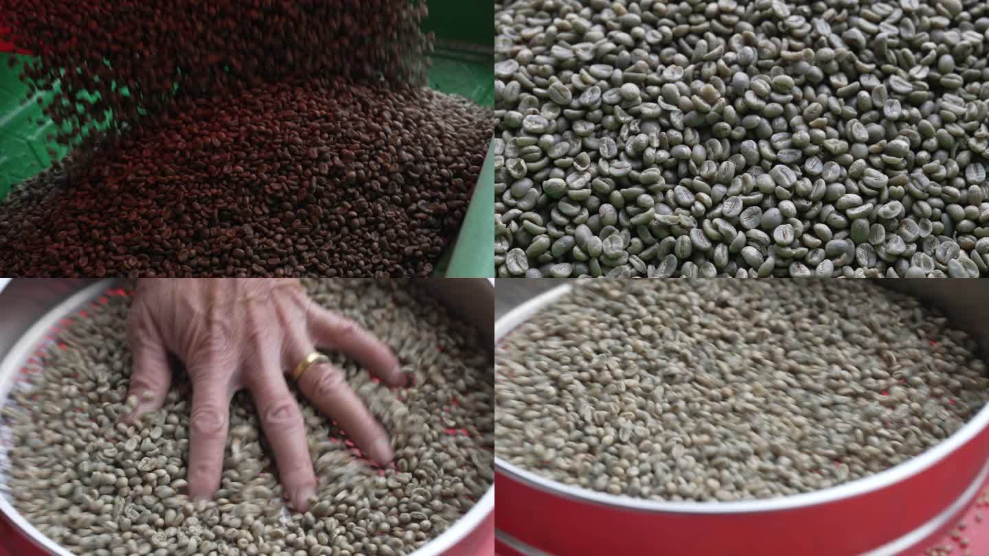 筛选咖啡生豆