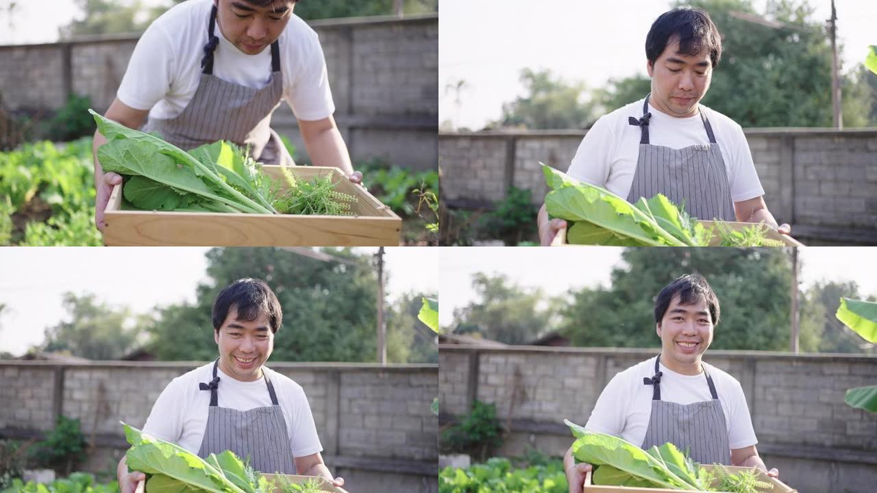 收获自家种植的蔬菜后，年轻人微笑着。