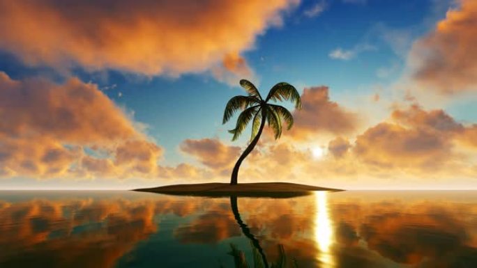 海洋小岛上的单棕榈树