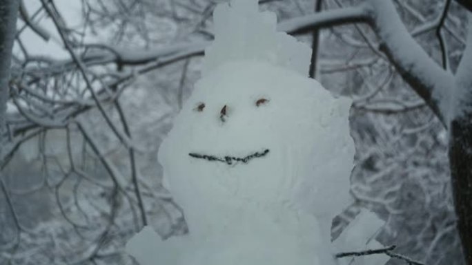 快乐有趣的雪人，在一场大雪的背景下。相机变焦