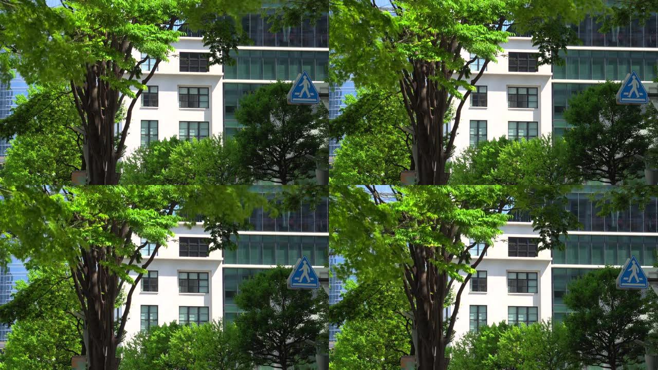 现代办公楼和树木写字楼CBD街道
