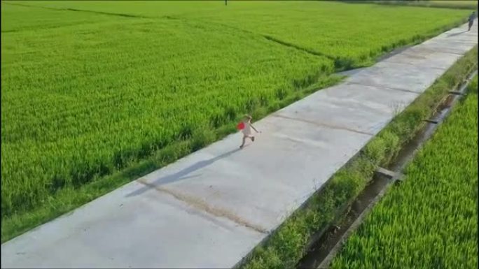 鸟瞰图女孩在稻田间的水泥路上奔跑