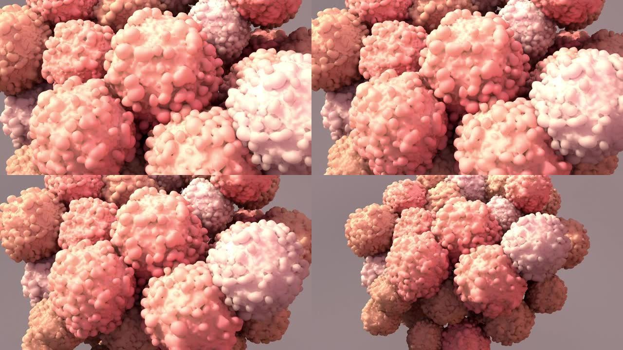 肿瘤，一组形成生长的异常细胞
