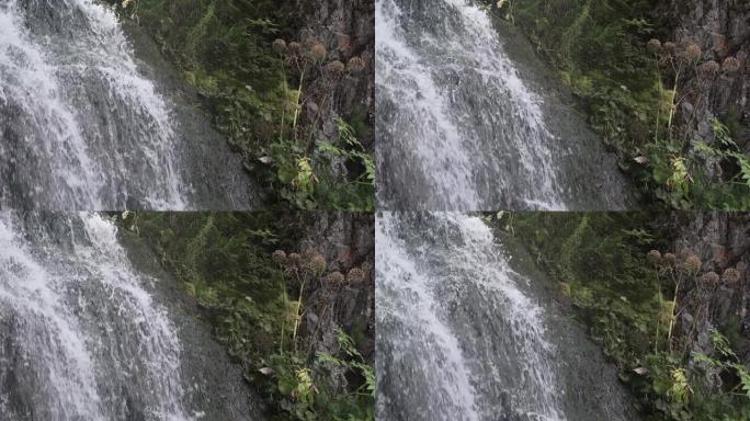 山溪沿着覆盖着苔藓的石墙流下。水溅到岩石上，溅起水滴和喷流。热带瀑布的海岸长满了绿色植被