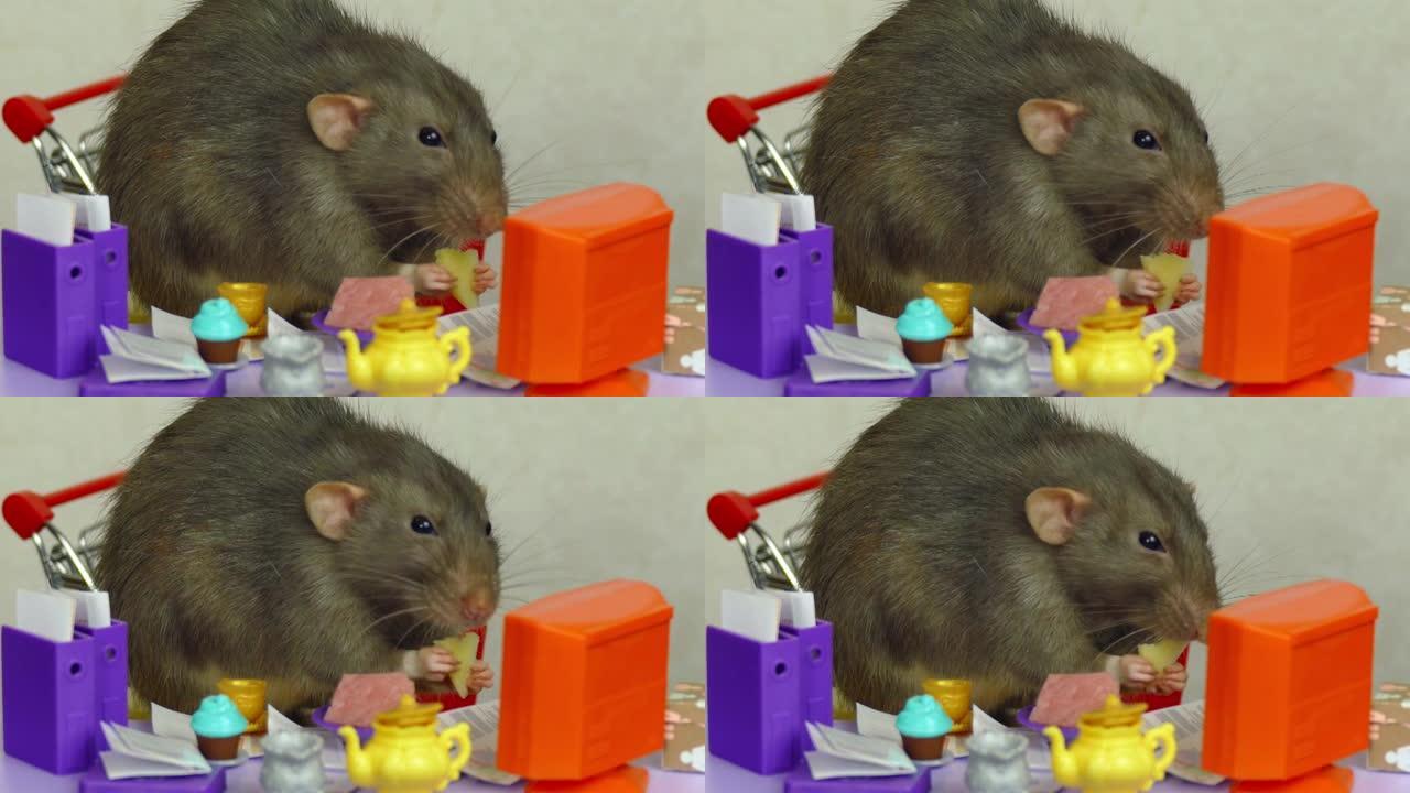 老鼠在玩具办公室吃奶酪