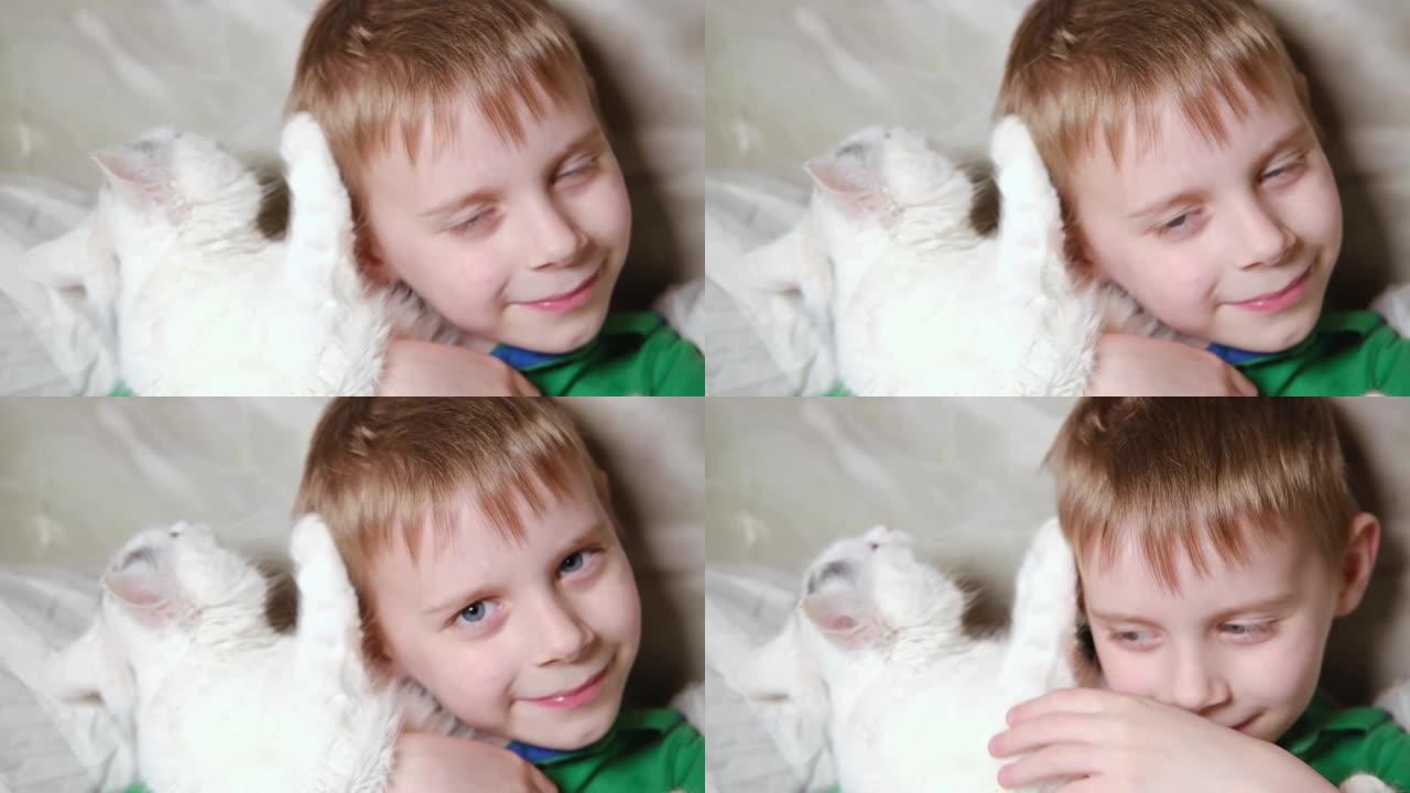 小男孩在家里玩一只白猫。宠物，猫儿关系。