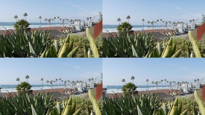 美国加利福尼亚州海滨的小屋。海滨平房。海洋海滩棕榈树。夏季海景。