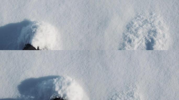 穿着冬天的衣服和保暖的鞋子的脚在森林的雪地里穿行，在一个霜冻的晴天向不同的方向撒雪。相机从上方拍摄。