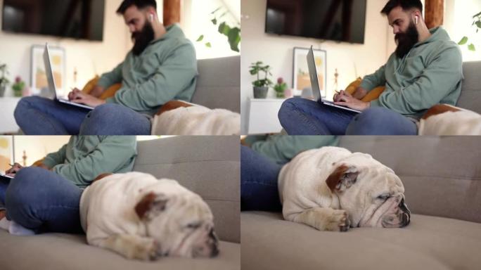 年轻的大胡子男人在家里舒适地工作，而他的狗在他旁边睡觉