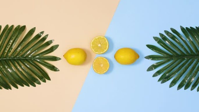 富有创意的热带棕榈叶和新鲜的柑橘柠檬出现在蓝色的沙质背景上。夏季热带停止运动flay lay